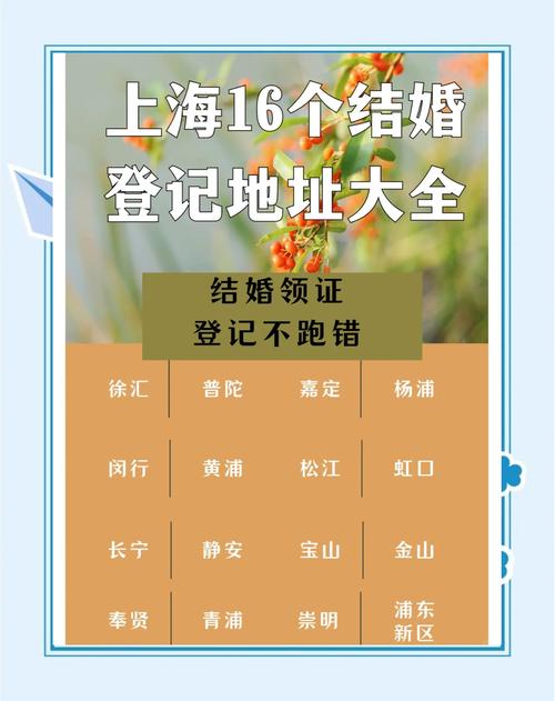 5月1日起,涉外婚姻登记将在上海市16区全面铺开
