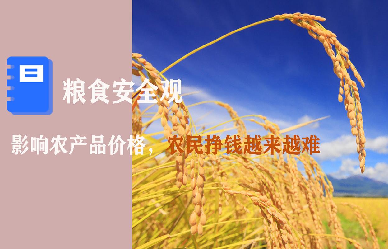 国家发改委：是否进口美国饲料粮、油料不会影响我国粮食供应