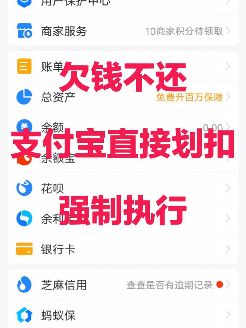 男子微信、支付宝年消费超9万元,却欠钱不还!郑州法院:判刑10个月